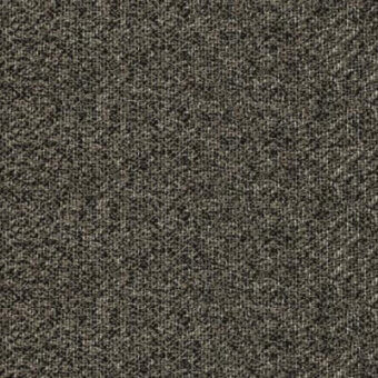 Charcoal gray fabric sample displaying a dense, heathered weave texture with subtle beige variations; matte finish, studio shot, labeled ‘pacini & cappellini’.